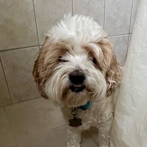 Meet your Posher, Fannie